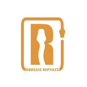 A logo with a snake

Description automatically generated